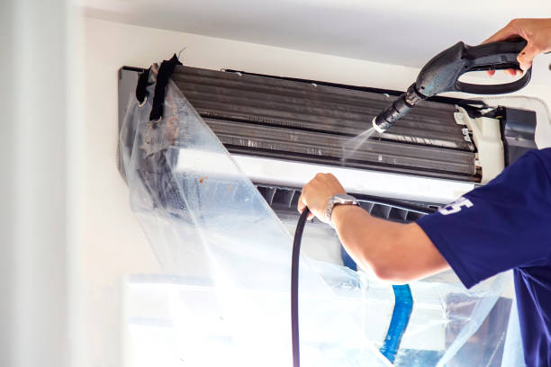 Best Air Duct Sanitizing Services  in South Monroe, MI