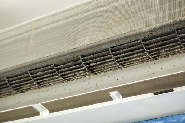Air Duct Mold Removal in South Monroe, MI